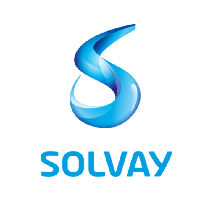 Fun Project _ Partner e Clienti _ Solvay