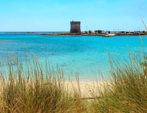 Rent a yacht in Gallipoli and Porto cesareo